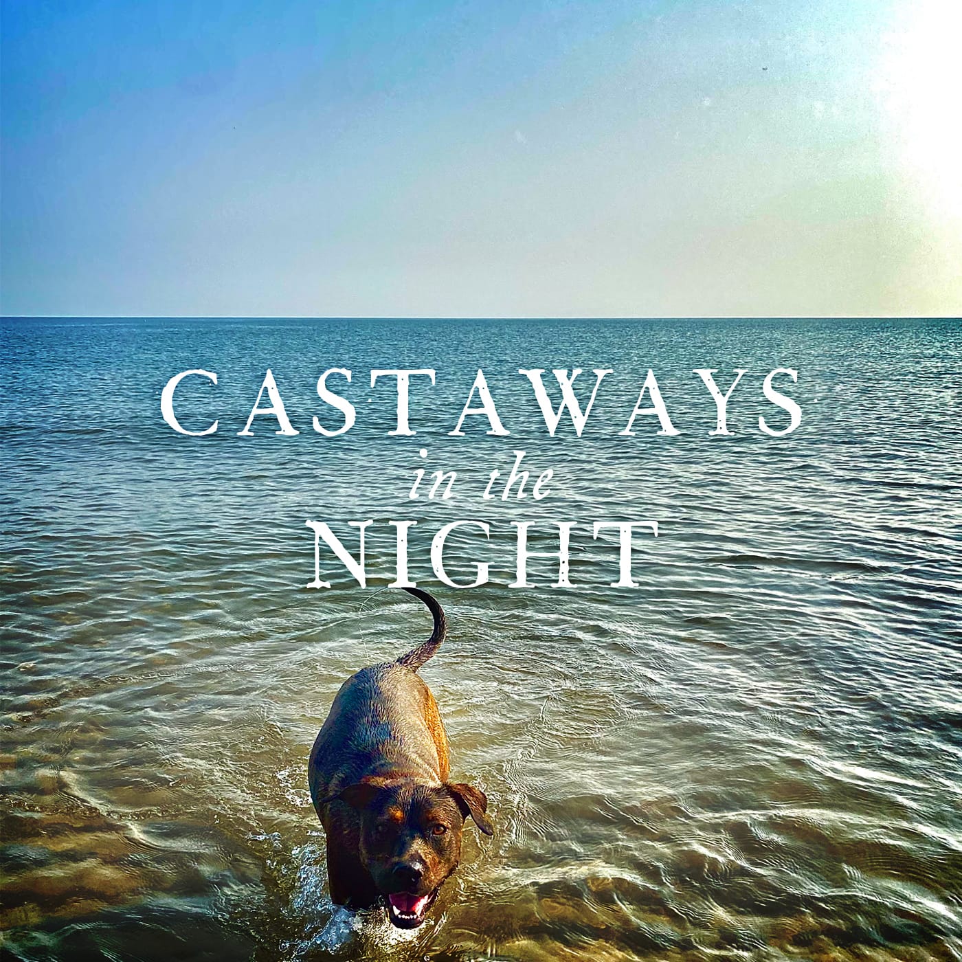 DEMO: “Castaways in the Night”